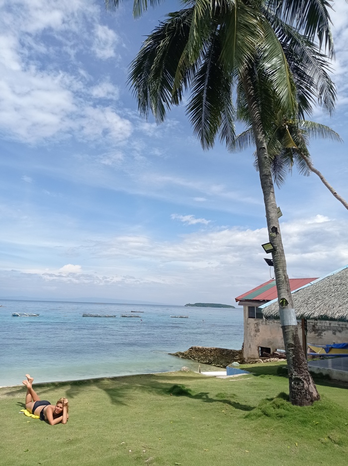 Где-то там акулы