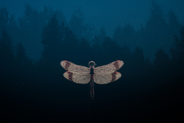 Если хочется гор на заднем плане, но их в вашу местность, как в моём случае, не завезли, то можно в мультиэкспу снимать верхушки деревьев.