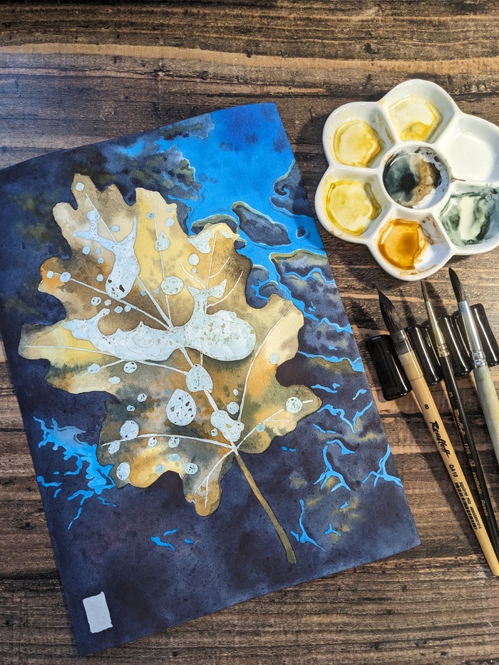 ���� ������������ ��������