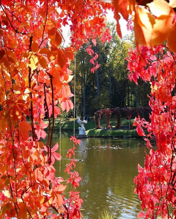 Осень в Ораниенбауме Достопримечательности, Путешествие по России, Путешествия, Парк, Ораниенбаум, Санкт-Петербург, Фотография, Туризм, Поездка, Видео, Вертикальное видео, Длиннопост, Telegram (ссылка)