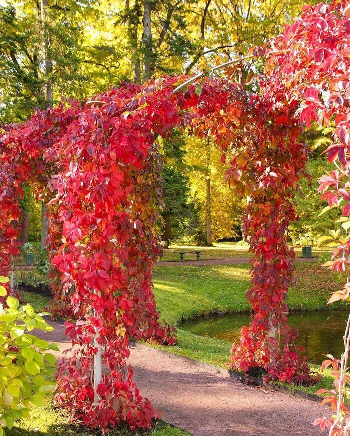 Осень в Ораниенбауме Достопримечательности, Путешествие по России, Путешествия, Парк, Ораниенбаум, Санкт-Петербург, Фотография, Туризм, Поездка, Видео, Вертикальное видео, Длиннопост, Telegram (ссылка)