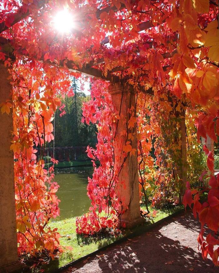 Осень в Ораниенбауме Достопримечательности, Путешествие по России, Путешествия, Парк, Ораниенбаум, Санкт-Петербург, Фотография, Туризм, Поездка, Видео, Вертикальное видео, Длиннопост, Telegram (ссылка)