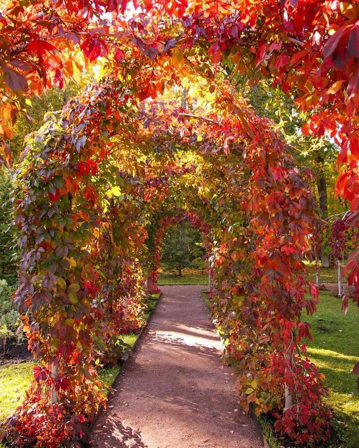 Осень в Ораниенбауме Достопримечательности, Путешествие по России, Путешествия, Парк, Ораниенбаум, Санкт-Петербург, Фотография, Туризм, Поездка, Видео, Вертикальное видео, Длиннопост, Telegram (ссылка)