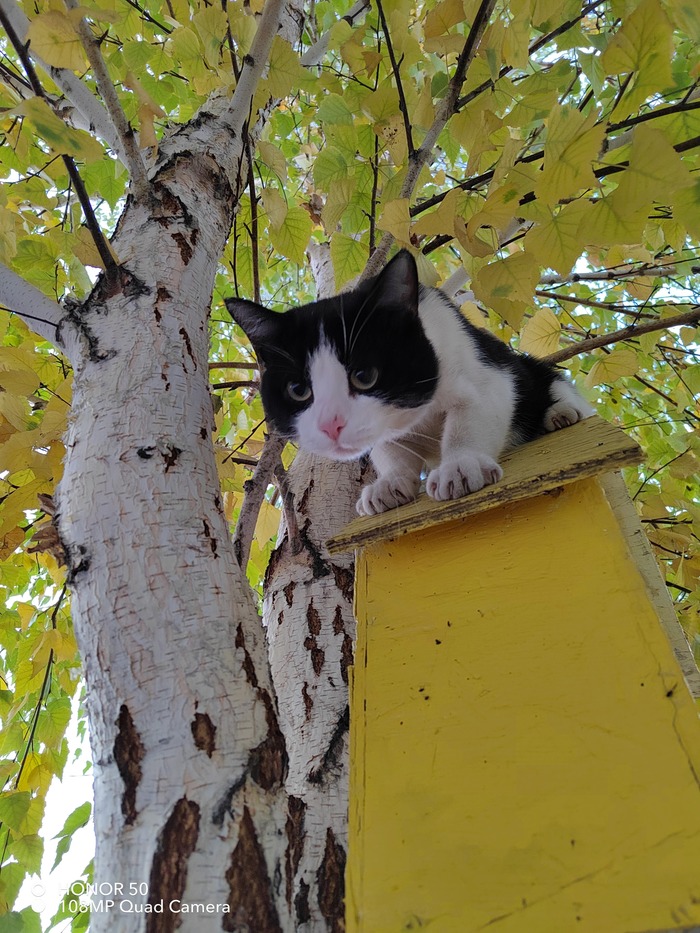 ������� ��������� ��� ���))