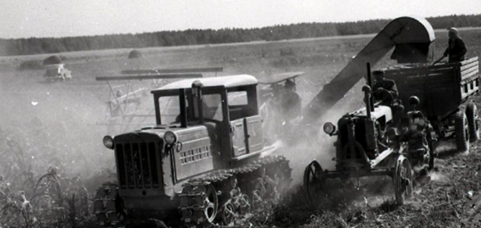 Рис.2. СК-2,6 на уборке кукурузы. Доставка измельчённой массы к месту закладки прицепом с трактором Универсал. Автомобилей тогда не хватало. Фото из открытых источников
