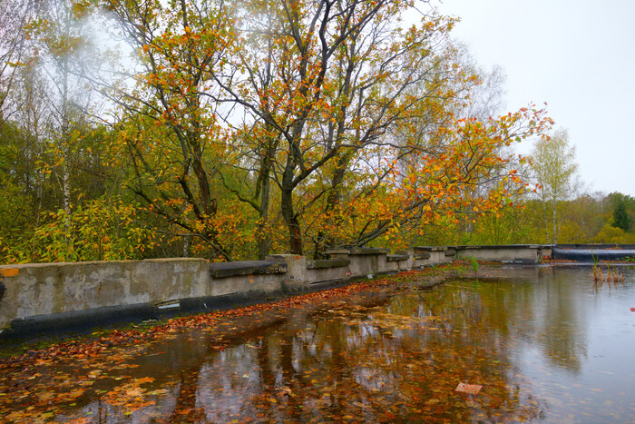 ����� ������ �������. ���� �� �� �����, ���� �� �������� ������, ��� �� �������� � ������ ���.