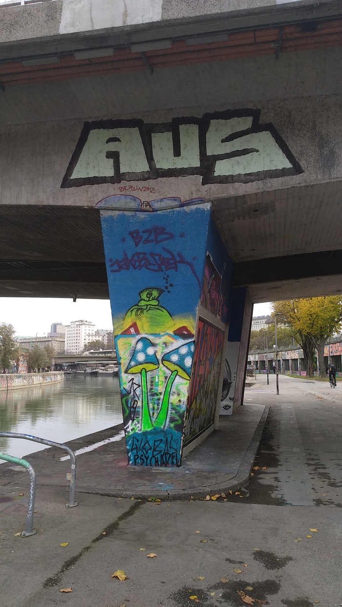 грибы здесь знают и уважают