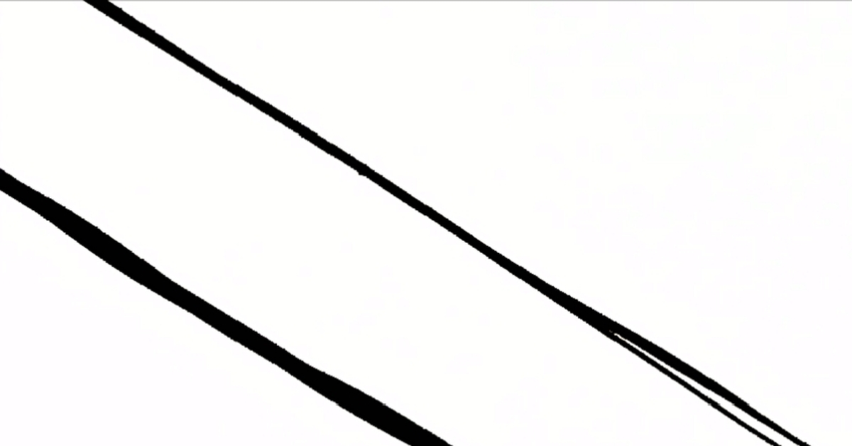 Грач не улетел | Пикабу