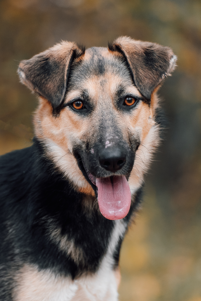 ,   . , , .       .      .        !