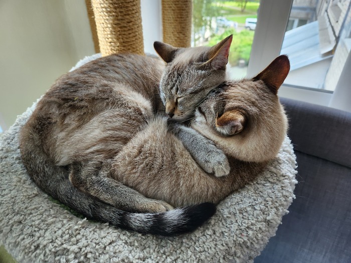 ��������� ���������)