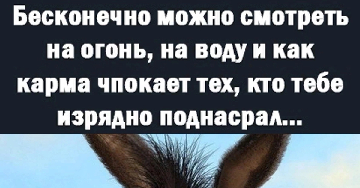 Юмор | Пикабу