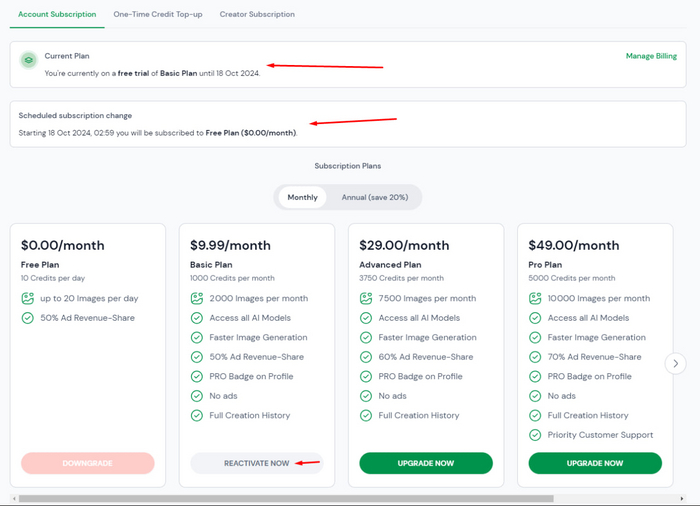 Здесь можете увидеть, что платный тариф у меня активирован
