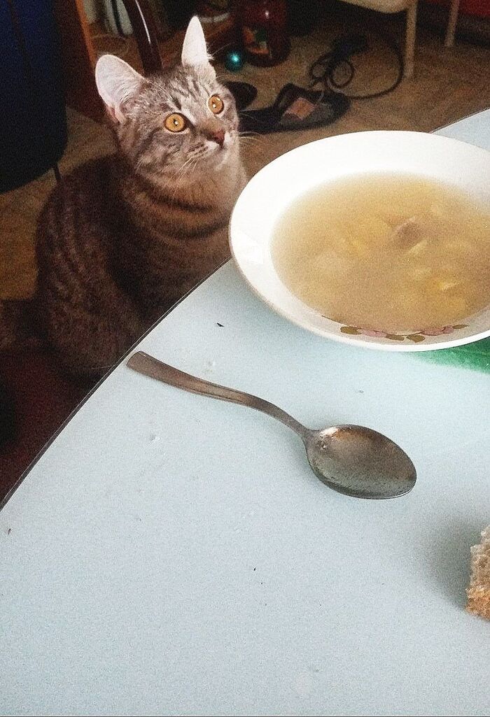 ? ,  ,  ,  
