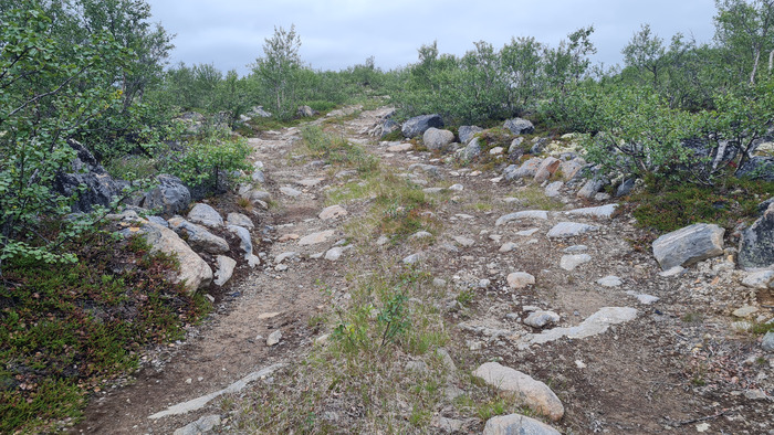 40-�� ������������ �������, ��� ��������� ��� ������