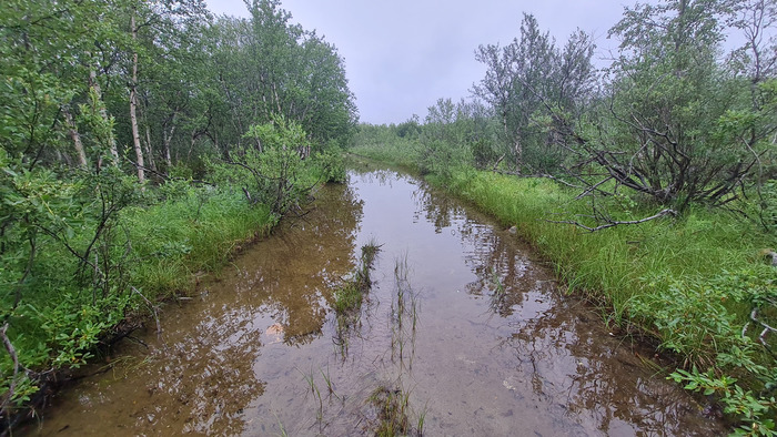 �������� ����-����