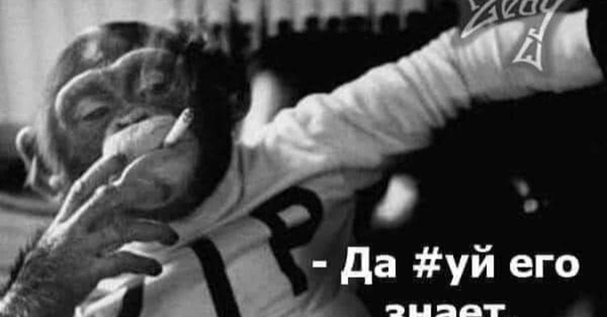 Обезьянка курит