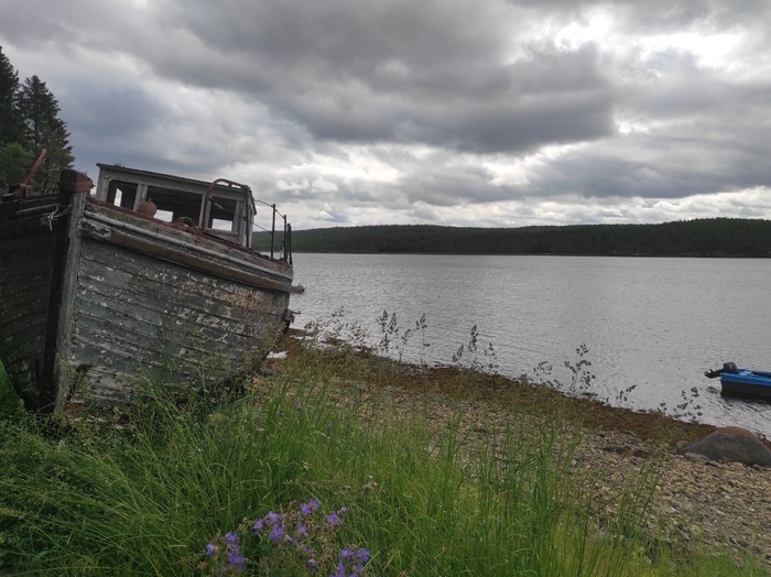 Суровый июль на Белом море (Карелия, Чупская губа) | Пикабу