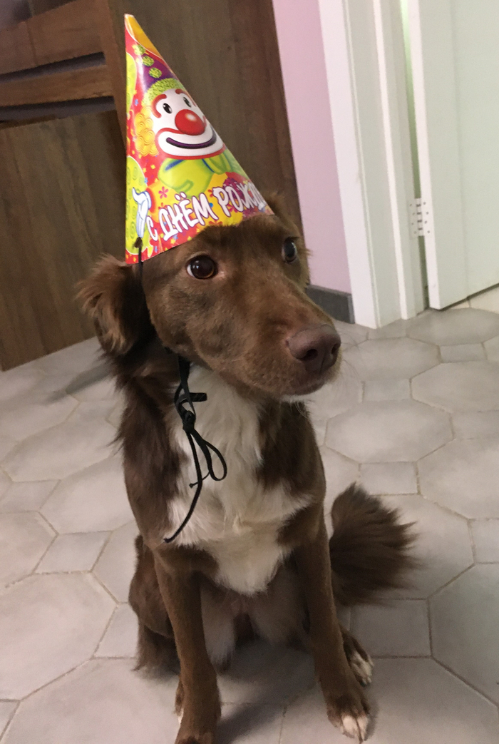 С днем рождения!