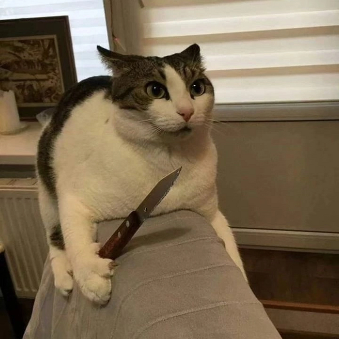  , ,  ,  , 