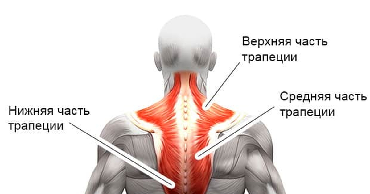 Трапециевидная мышца симптомы. Упражнения на трапециевидную мышцу. Нижние пучки трапециевидной мышцы. Тренировка трапециевидной мышцы. Шишка на трапециевидной мышце.