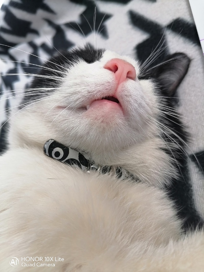 ���� ����� ������, ���� ����� �����