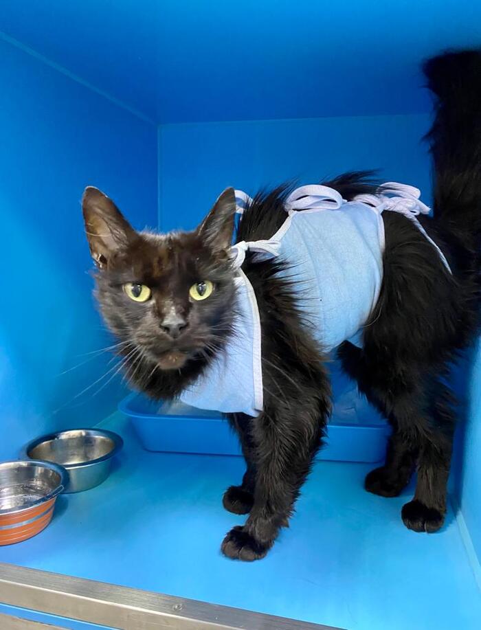 ����� ��� ��� � ������� ����� ������������