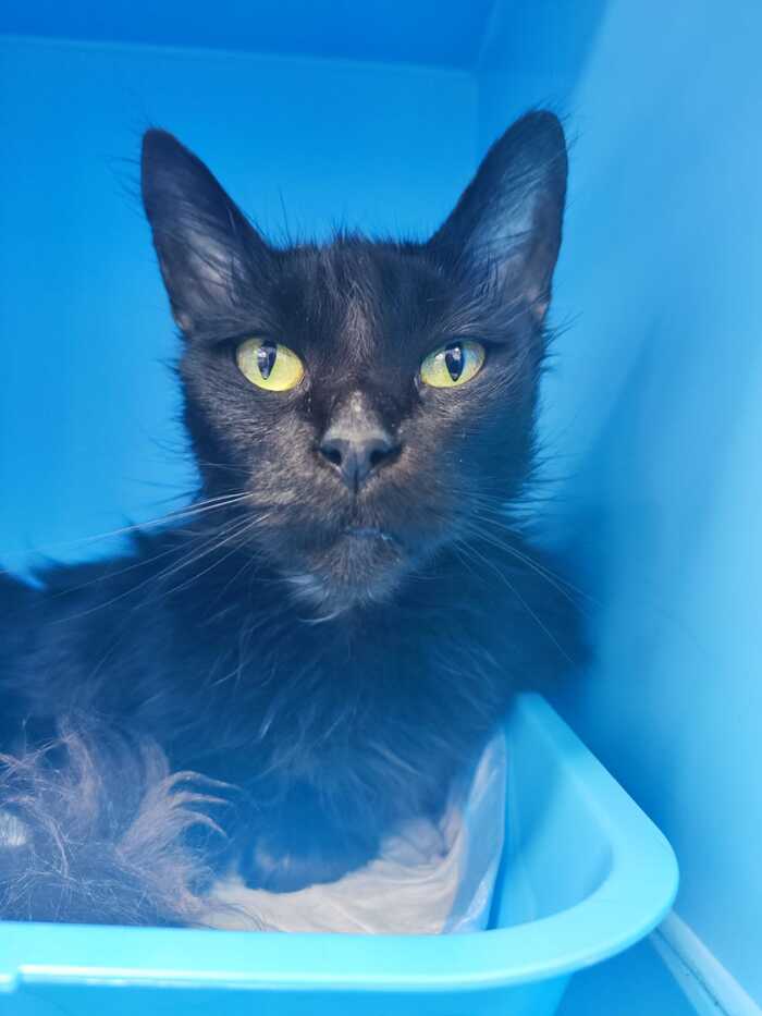 ����� ����-����. � ��� ������ �� �������