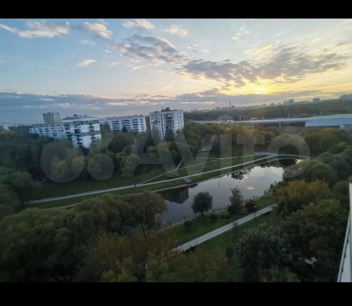 ���� ��� �����, ������