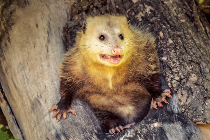 А вы сводку читали?