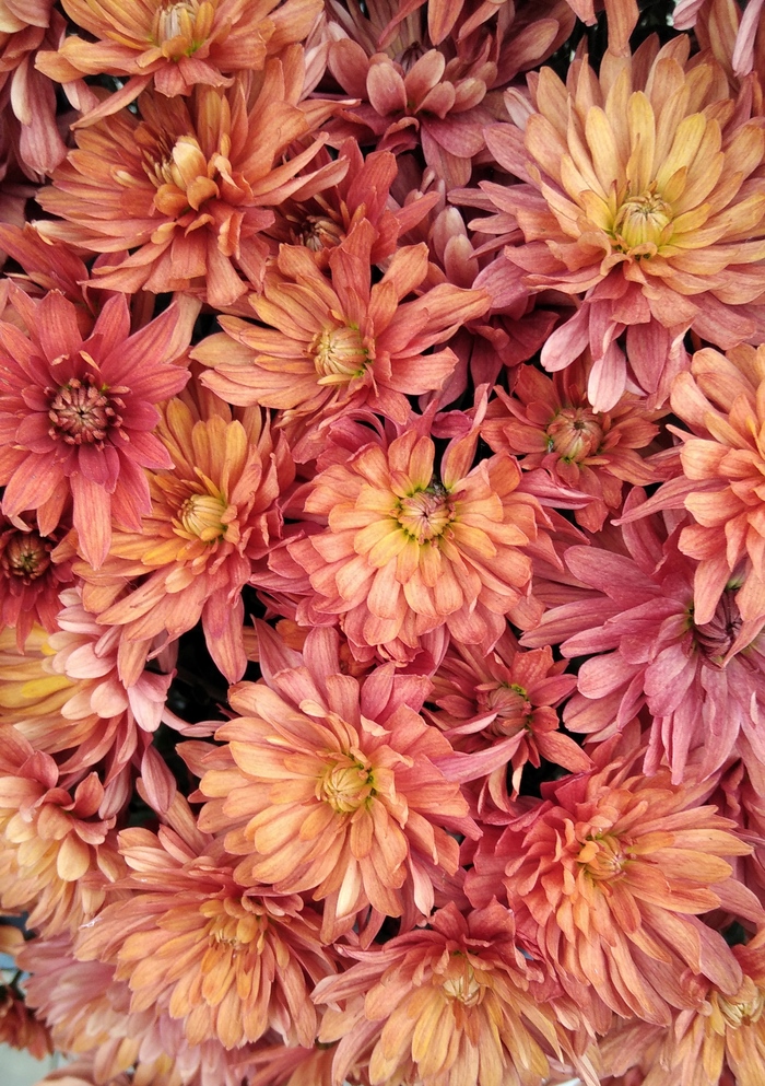  , , , , 