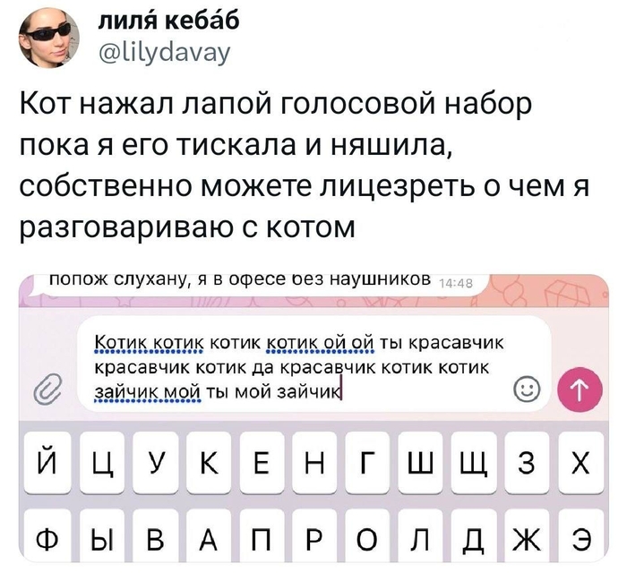 Котик мой котик