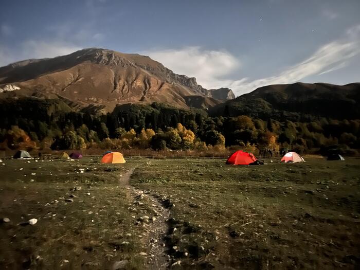 ночной приют