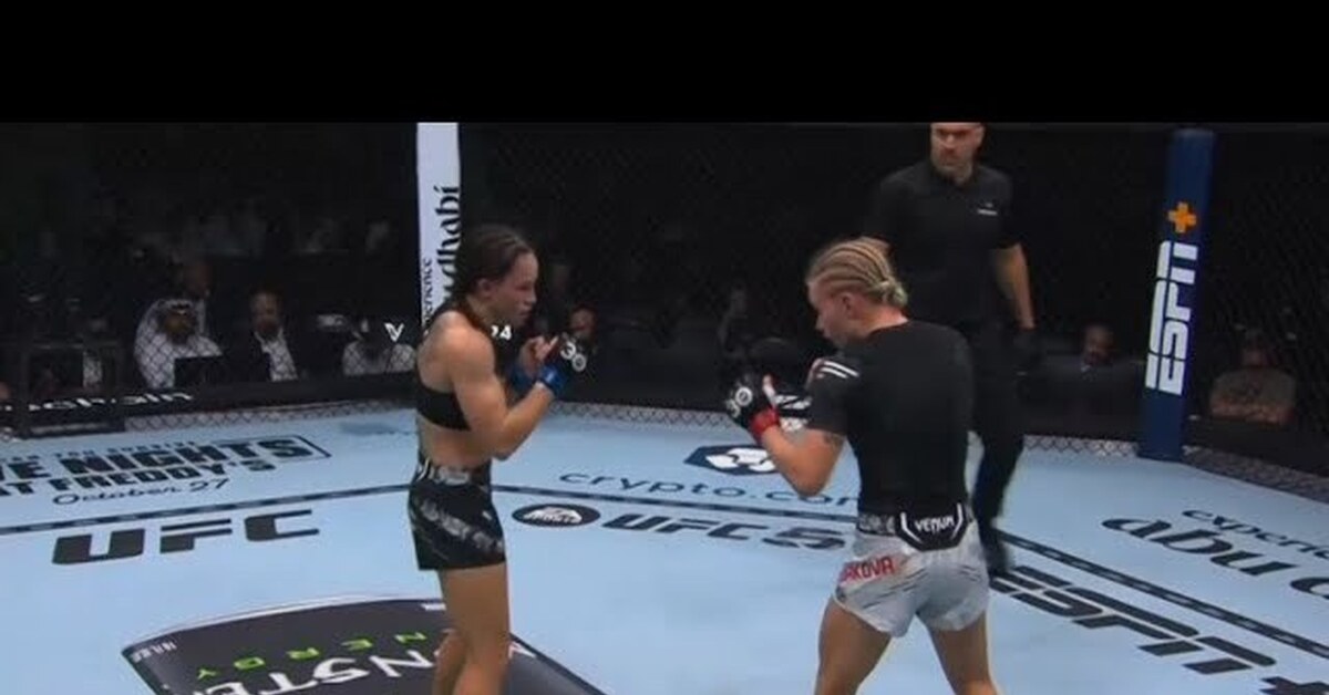 дудакова джин ю фрей бой