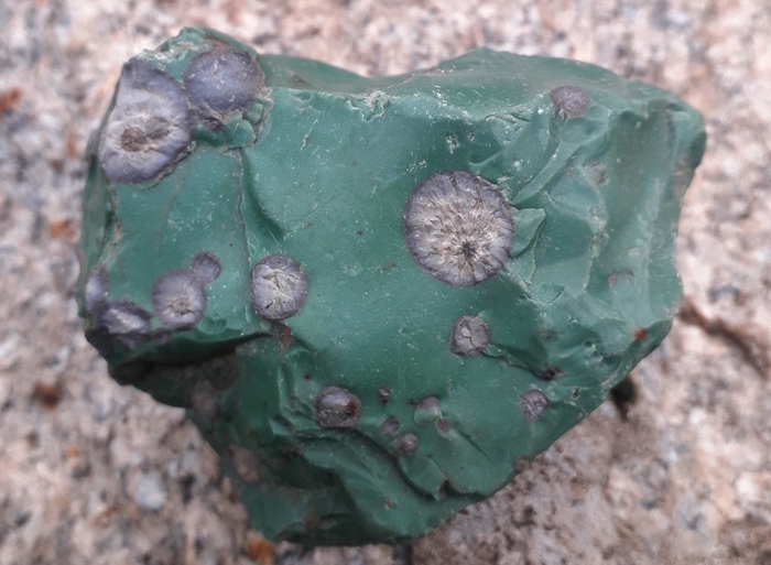 �����������. �������������� ����