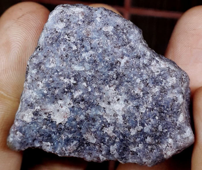 �����-��������� ��������� �������. ������������� ����������. ����-����������� (����� ���������) �������� �����, � ������� � ������-�������� ����������.