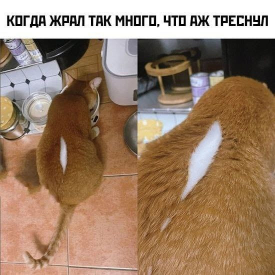 � ������� ���