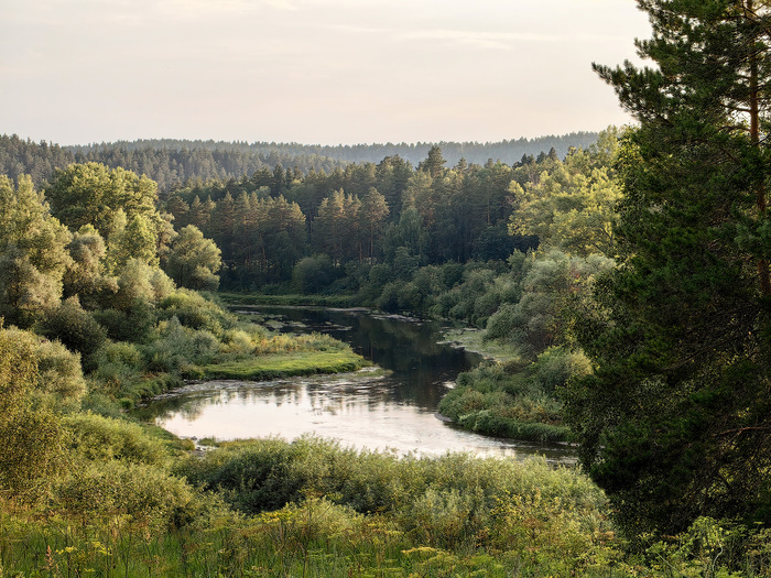 Белая река (про неё ещё Шевчук пел)