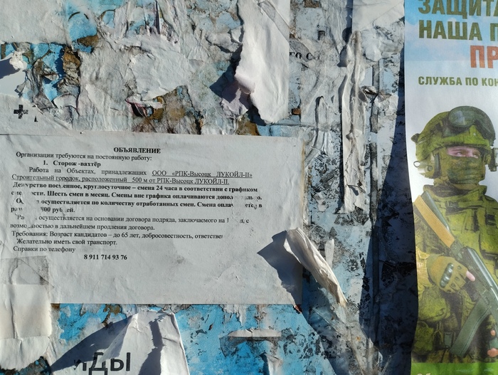   1800 ./.     70-75 ,     .