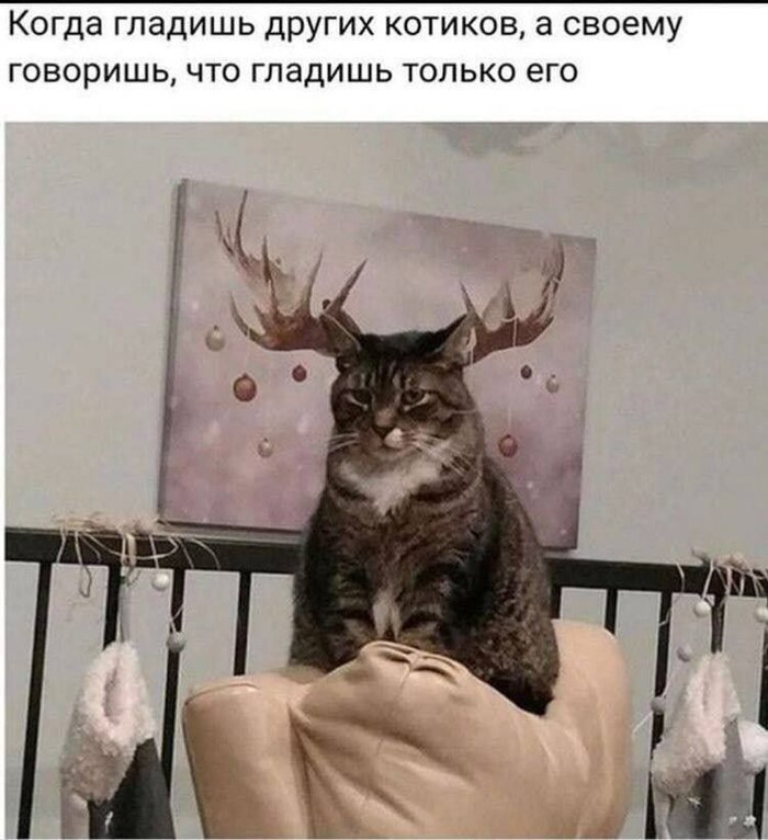  , ,   , 
