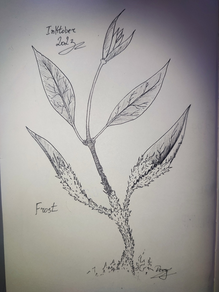 Inktober 2023 20 - Frost