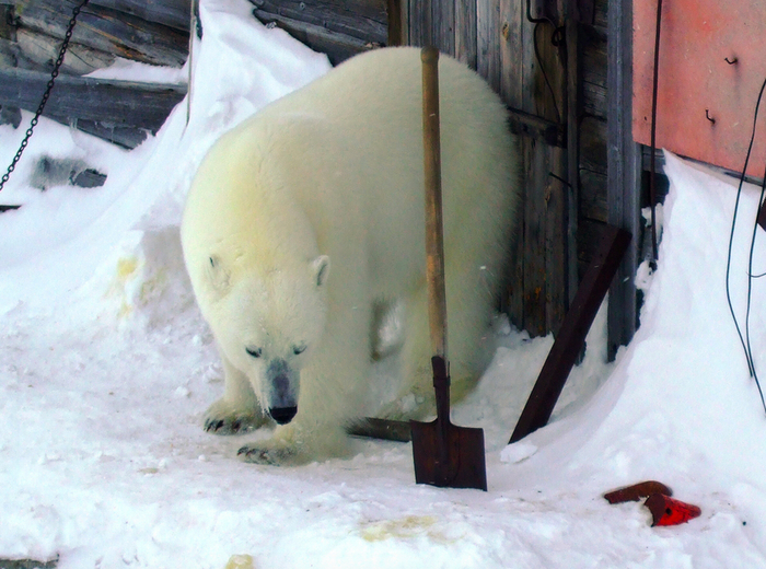 ����: ����� ��������