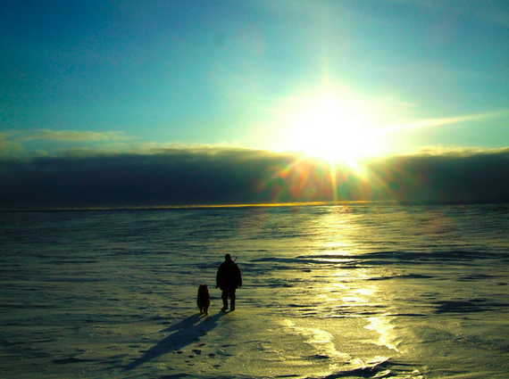 ����: ����� ��������