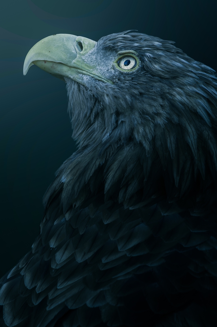 ������� ����