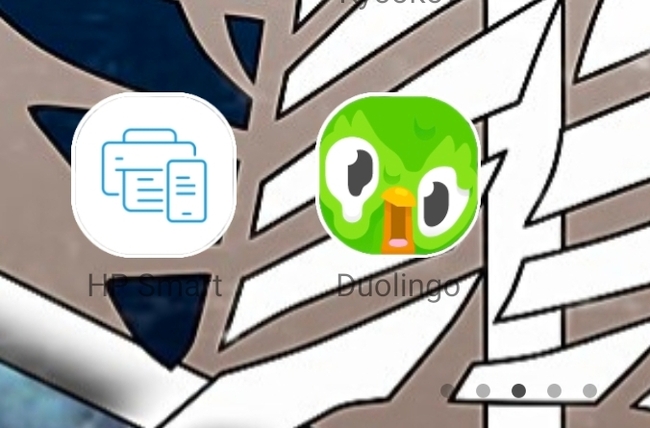       Duolingo