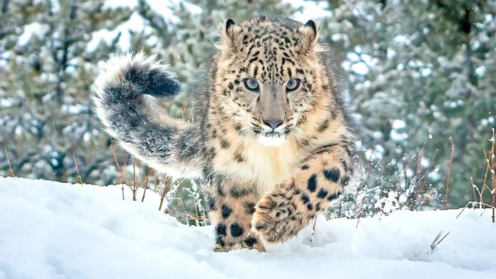 Shutterstock/Fotodom