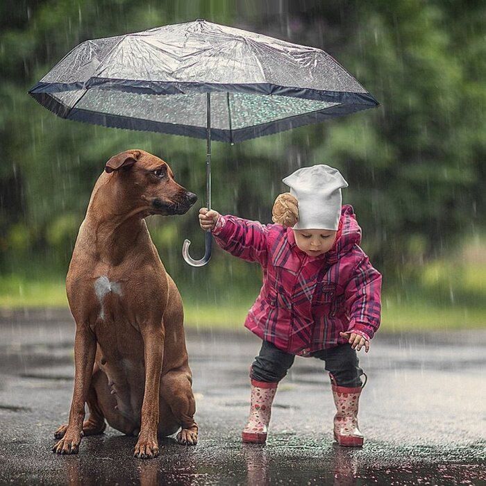 ���� �� ������� � ����