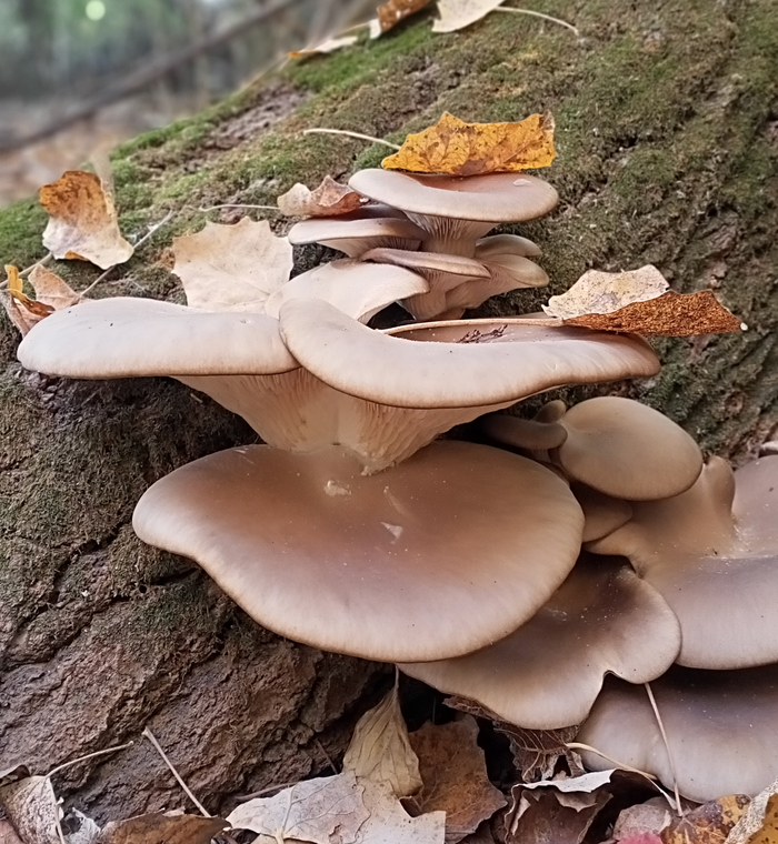 �������.