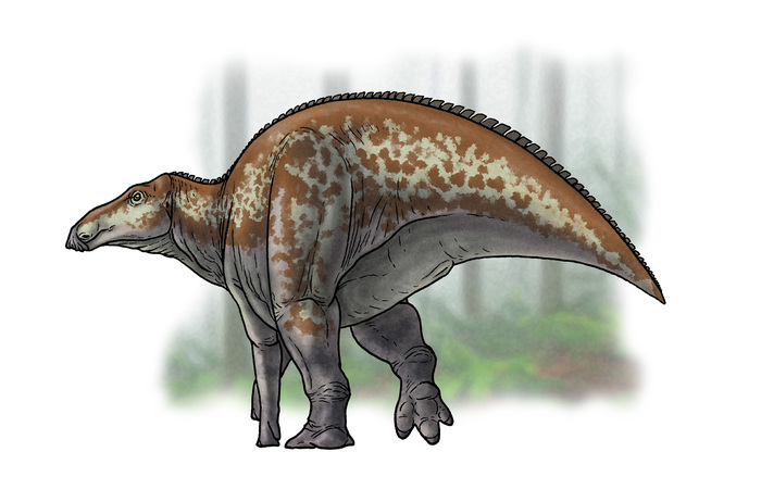 Kerberosaurus manakini