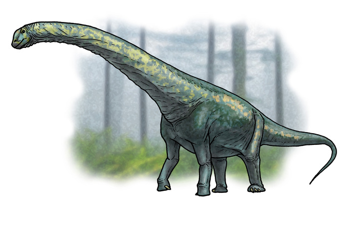 Sibirotitan astrosacralis