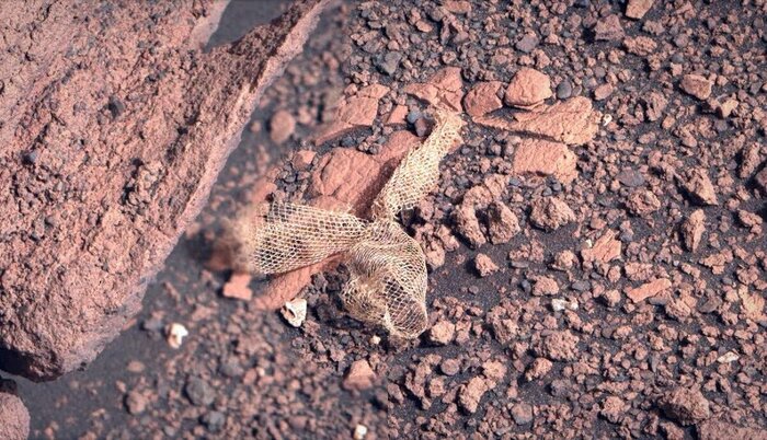 Любопытная находка марсохода Perseverance